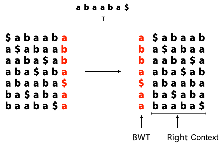 BWT_insight