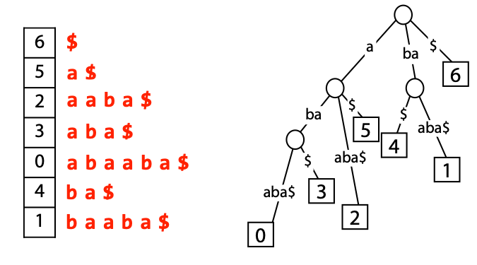 SA_vs_ST