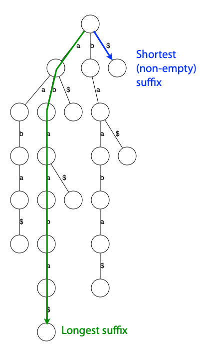 suffix trie