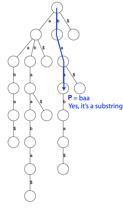 suffix trie